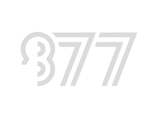 Lincoln's Agency 877 silver logo